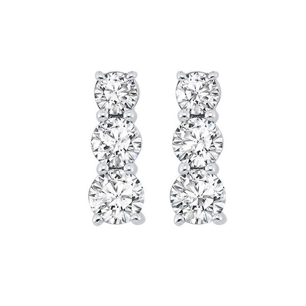 14Kt White Gold Diamond (1Ctw) Earring